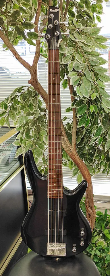 Ibanez GIO Soundgear GSR205 5-String Electric Bass – Gloss Black with Hard Case Full-size five-string Soundgear bass with lo