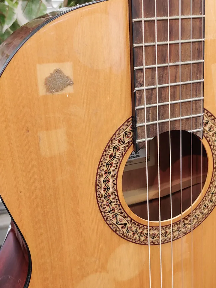 Jasmine JC-25 natural classical nylon-string guitar shown from the front, back, sides, neck, bridge, tuners, and label