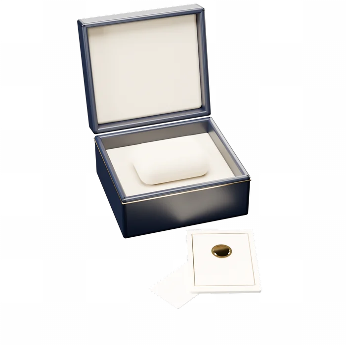 Illustration of a watch box with its papers