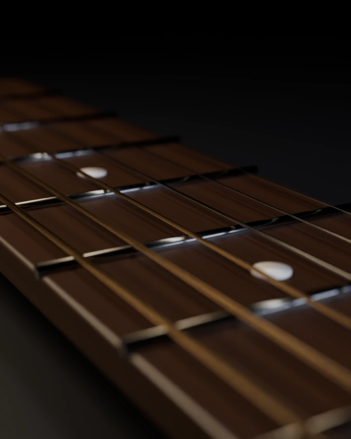 Illustration of guitar strings over a fret